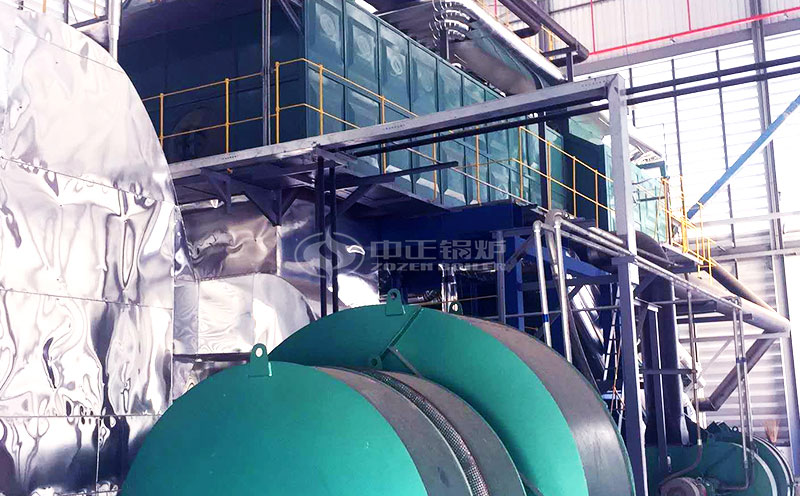 什么是生物质蒸汽锅炉烧什么燃料?实拍