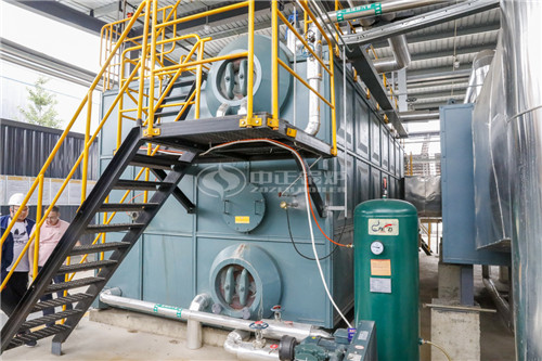 一台2T天然气导热油锅炉价格贵吗