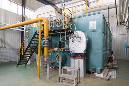 20T燃气蒸汽锅炉